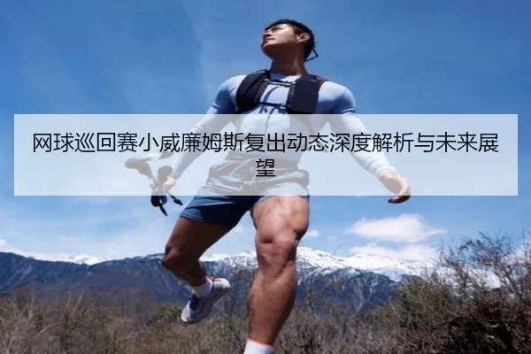 网球巡回赛小威廉姆斯复出动态深度解析与未来展望